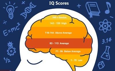 at what iq is someone a genius