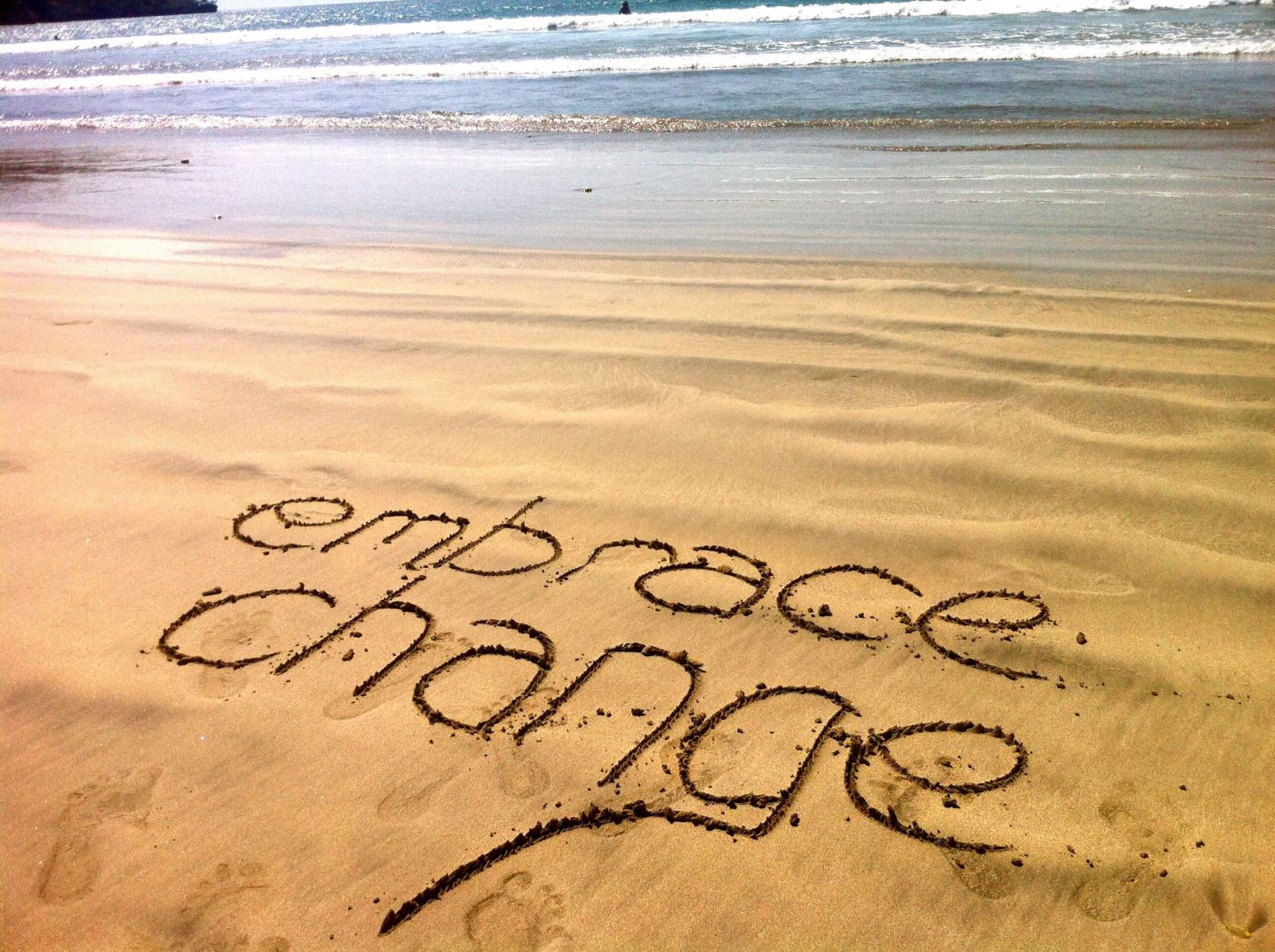 You embrace change